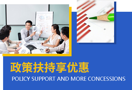 政策扶持
